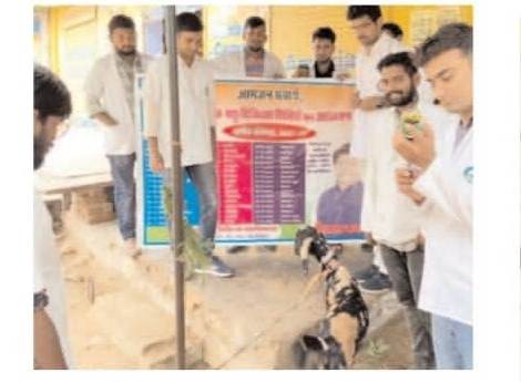 Weekly Free Veterinary Camp at Village Manda Bhinda